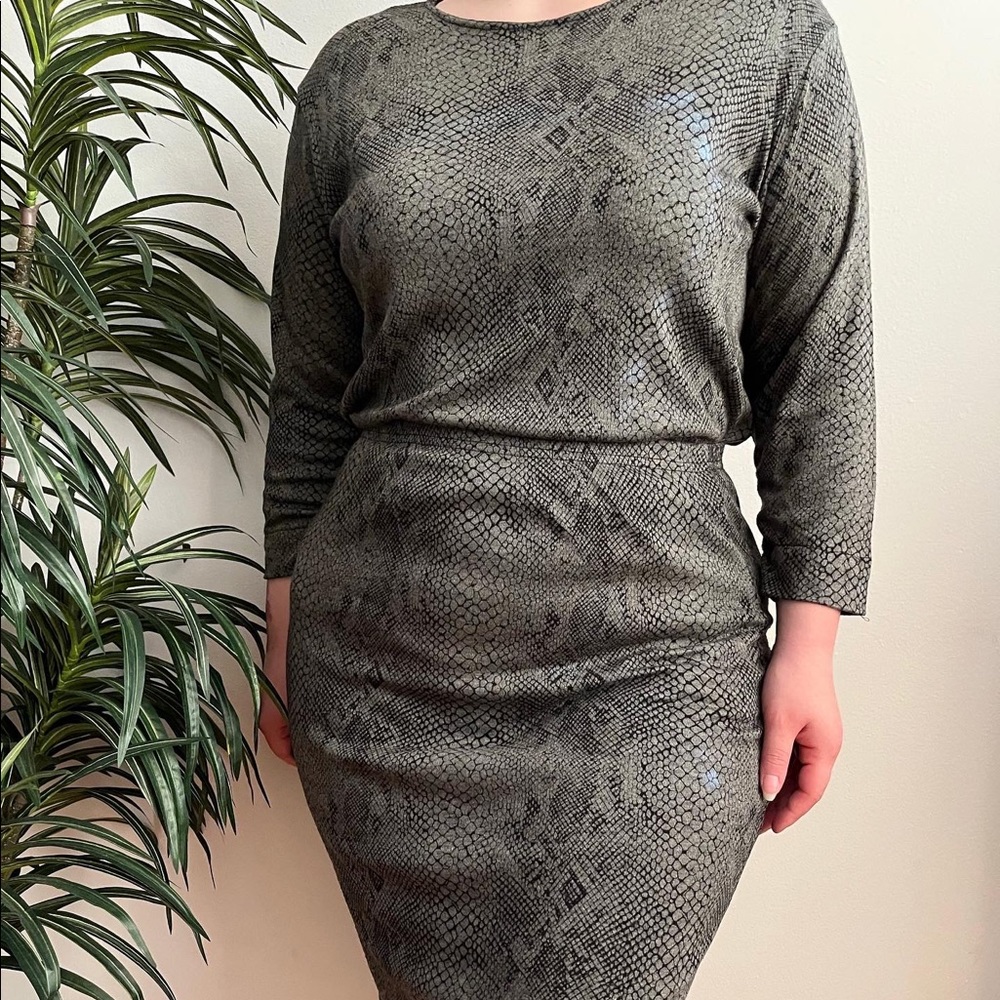 Vintage grey snake print skirt set